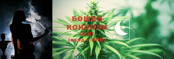 ПСИЛОЦИБИНОВЫЕ ГРИБЫ Алзамай