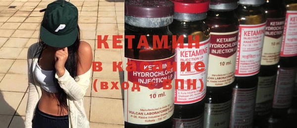 гашик Алексин