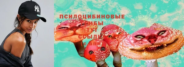 ПСИЛОЦИБИНОВЫЕ ГРИБЫ Алзамай