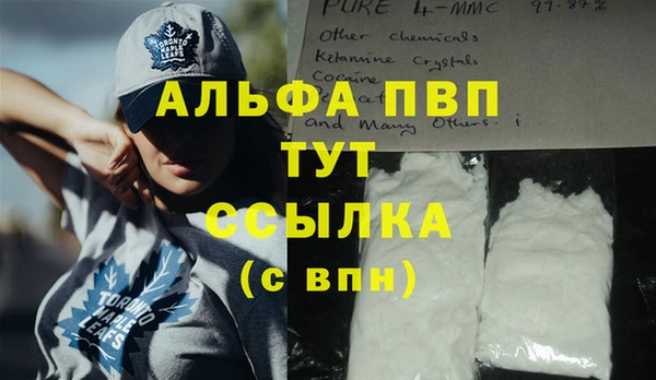 гашик Алексин