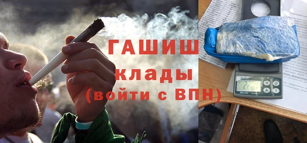 гашик Алексин