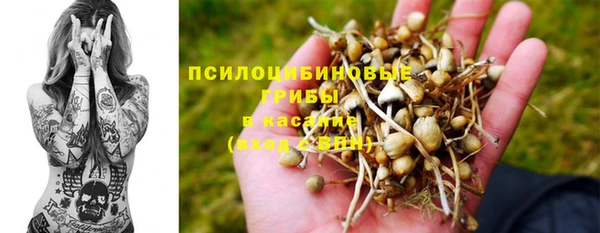 ПСИЛОЦИБИНОВЫЕ ГРИБЫ Алзамай