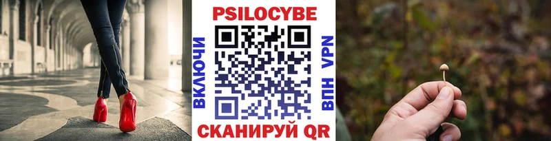 Псилоцибиновые грибы мицелий Ковылкино