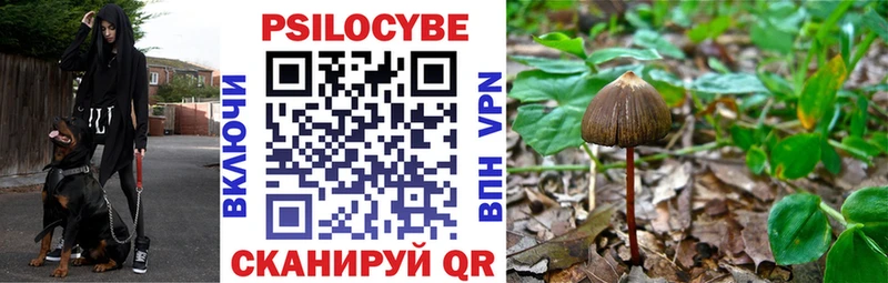 как найти закладки  Ковылкино  Галлюциногенные грибы Psilocybe 